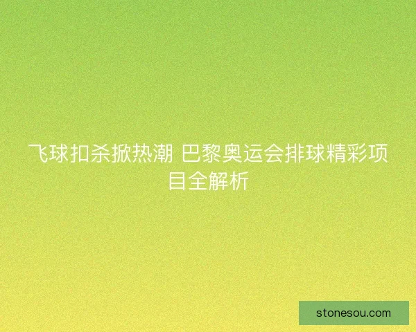 飞球扣杀掀热潮 巴黎奥运会排球精彩项目全解析